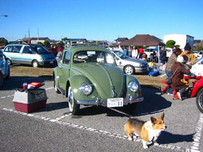 2003bugholiday023